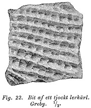 Piece of a thick earthenware vessel, earlier Iron Age. Greby, Sweden. - Bit av tjockt lerkärl från Greby i Bohuslän.  Äldre järnålder. Size 984 x 1170 pixels.