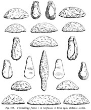 One arrowhead, eleven saws and eight scrapers of flintstone. Stone Age. Found at Bokenäs, Bohuslän, Sweden. 2500 x 3000 pixels.