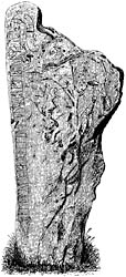 Rune Stone at Herrekvarn, municipality of Svenljunga , Sweden. Runsten vid Herrekvarn i  Svenljunga