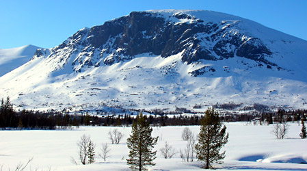 Skogshorn in Hemsedal, Norway. Photo 2008. Wikimedia Commons.
