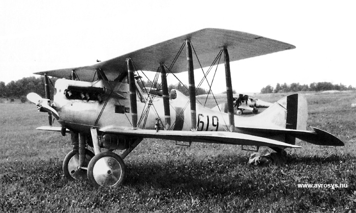 Swedish fighter aircraft Nieuport-Delage 29C-1