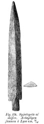 Spearhead of slate. Lyse, Sweden. - Size 900 x 2500 pixels.