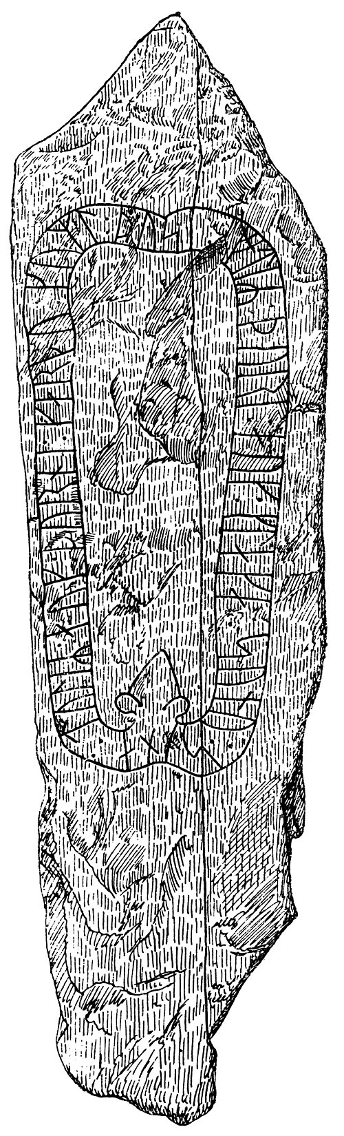 Rune Stone at Hkerum, Municipality of Ulricehamn, Sweden Rune Stone at Hkerum, Municipality of Ulricehamn, Sweden . Runsten vid Svedjorna i Hkerum, Vstergtland.